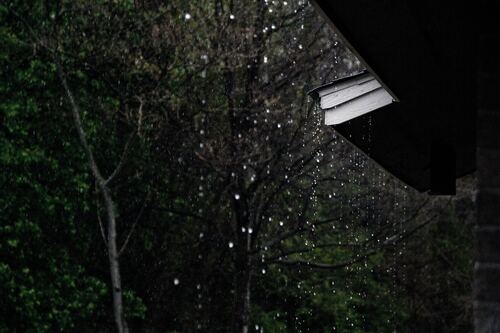 Tuyet Thang Tu Nguyen Si Kha • Rainy Day Memories • 2023