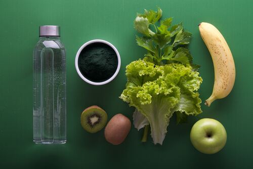 Understanding Plant-Based Health Benefits